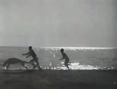 Photo of dog and two young men