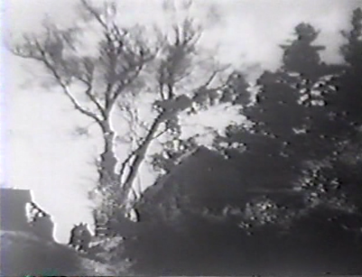 A mountain road with a tree in the center and a group of girls walking down the path in the lower-left corner