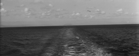 A view of the sea to the horizon, with seagulls flying 